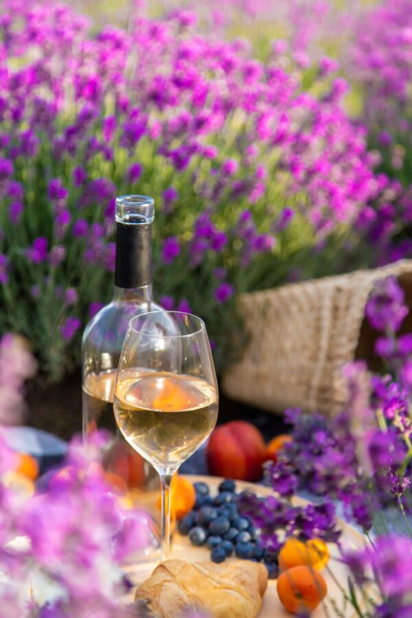 Summer garden flowers and wine glass with bottle